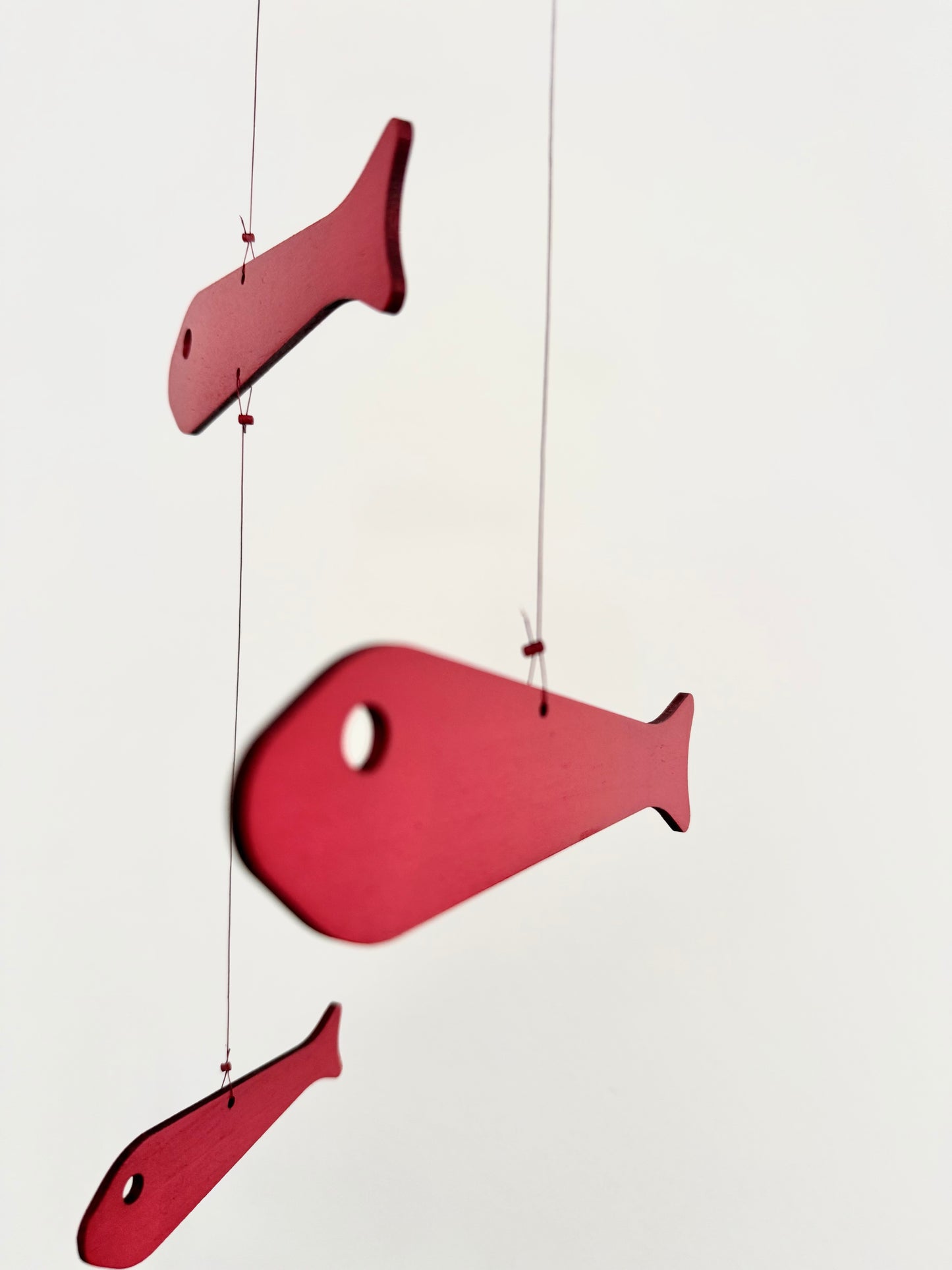 Five Fish Mobile