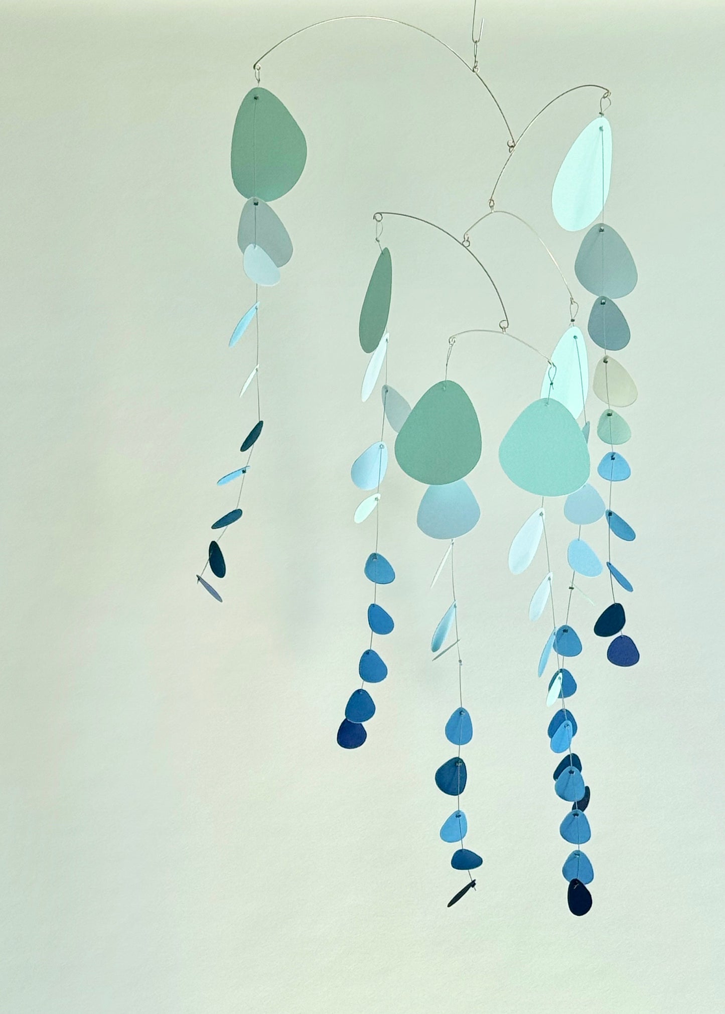 N.49 Eucalyptus Clear Blue