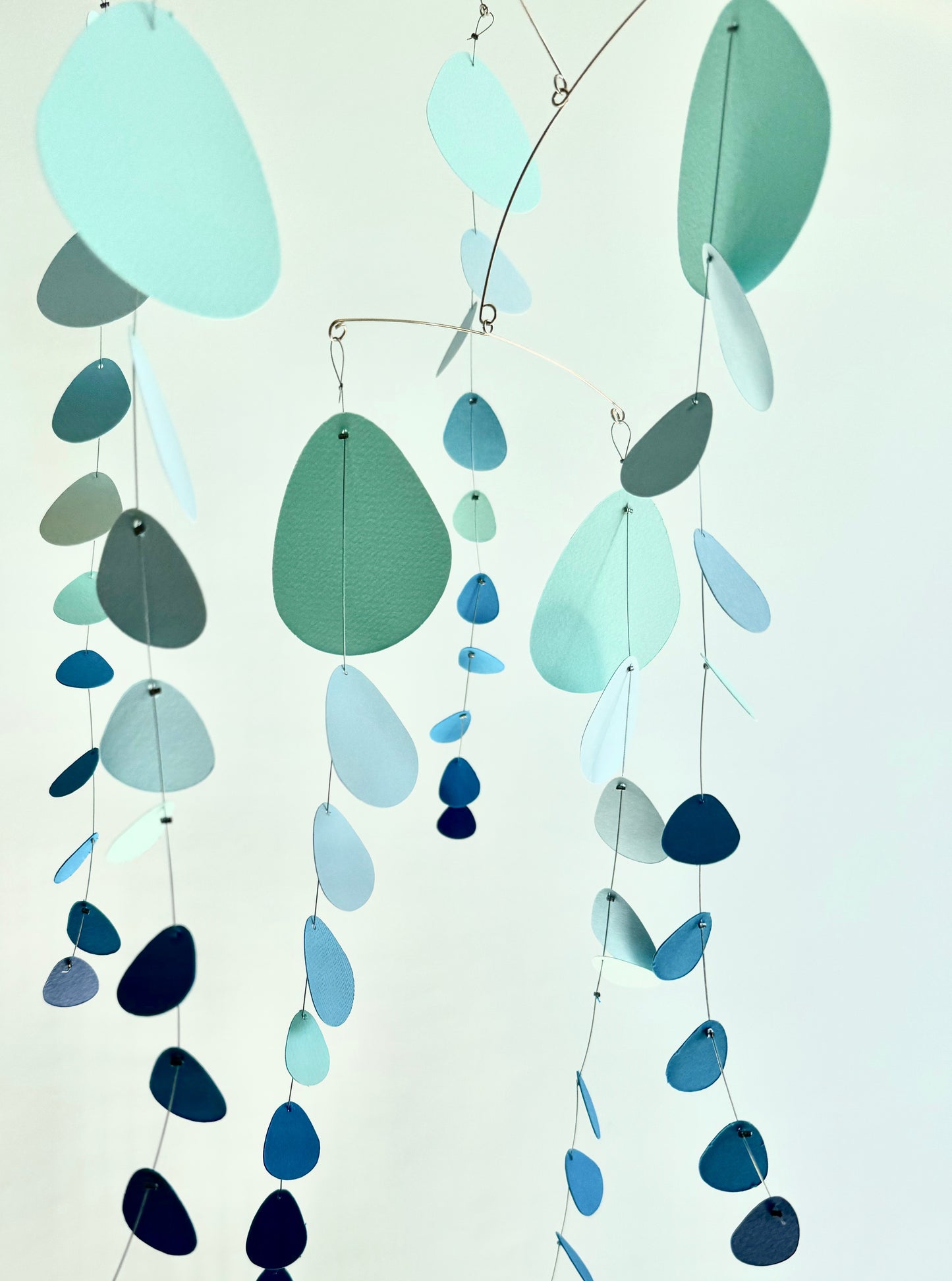 N.49 Eucalyptus Clear Blue