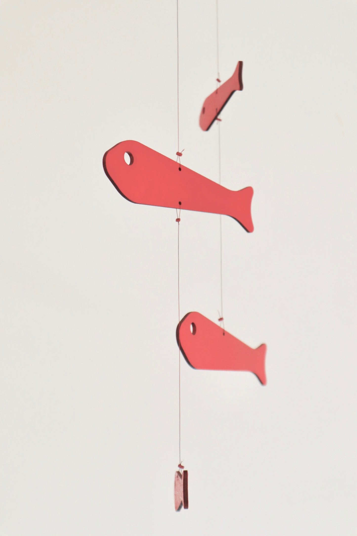Five Fish Mobile