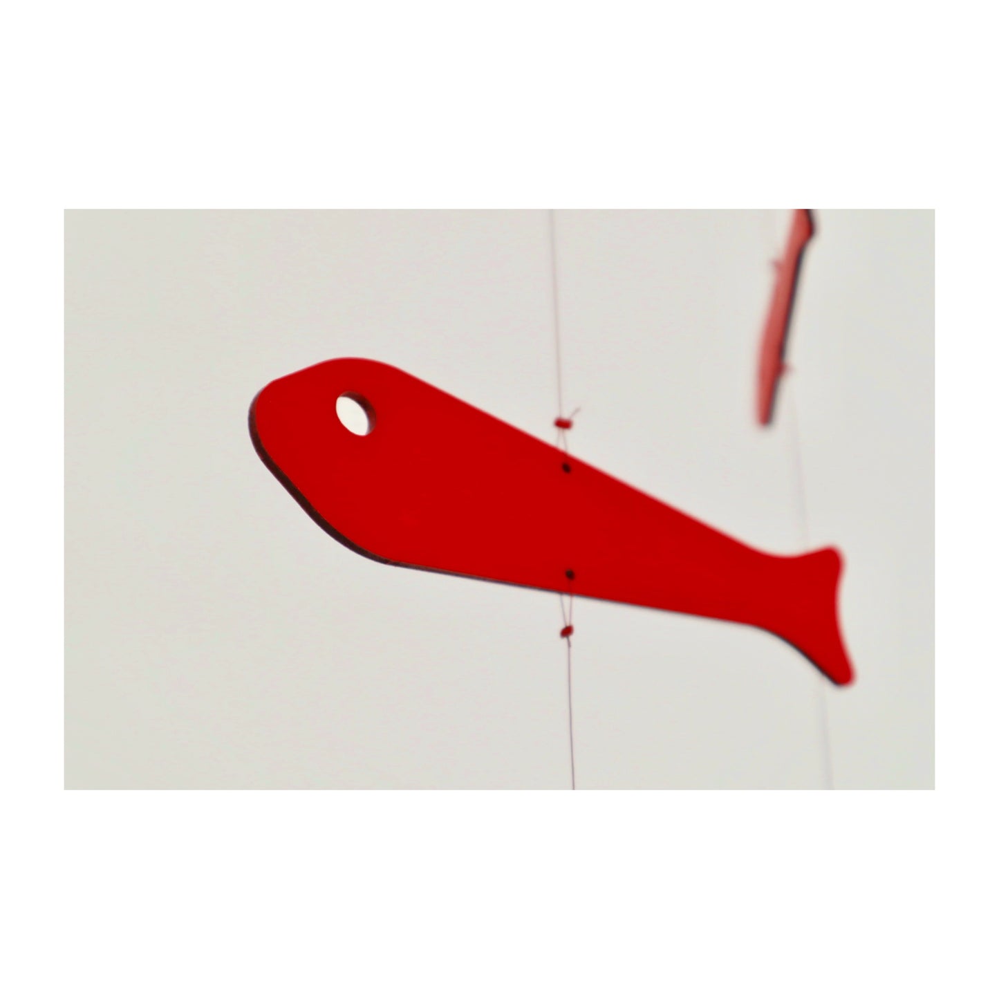 Five Fish Mobile
