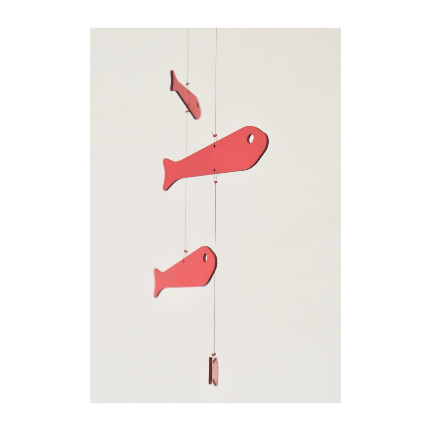 Five Fish Mobile