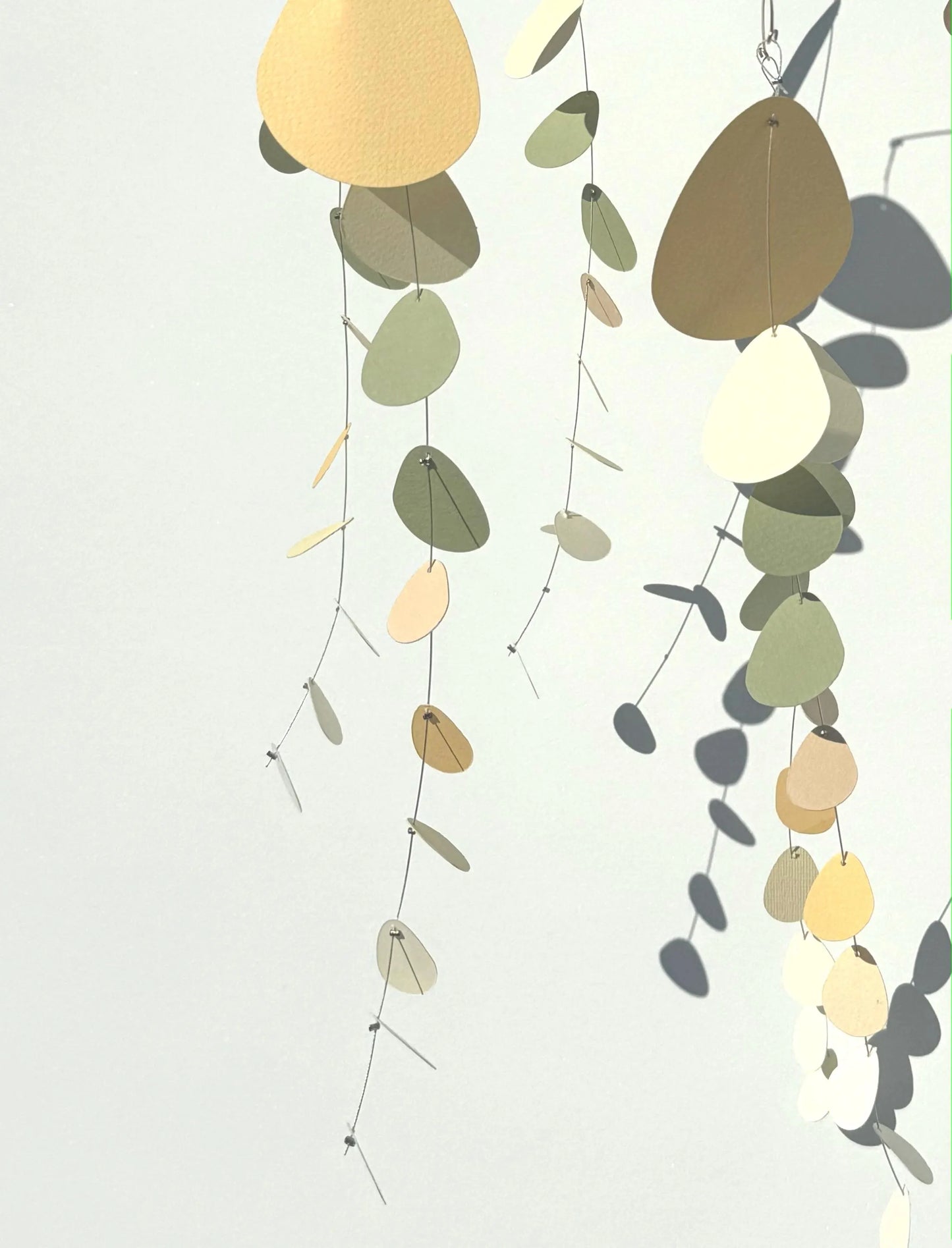 N.48 Eucalyptus Ceam and Yellow Mobile.