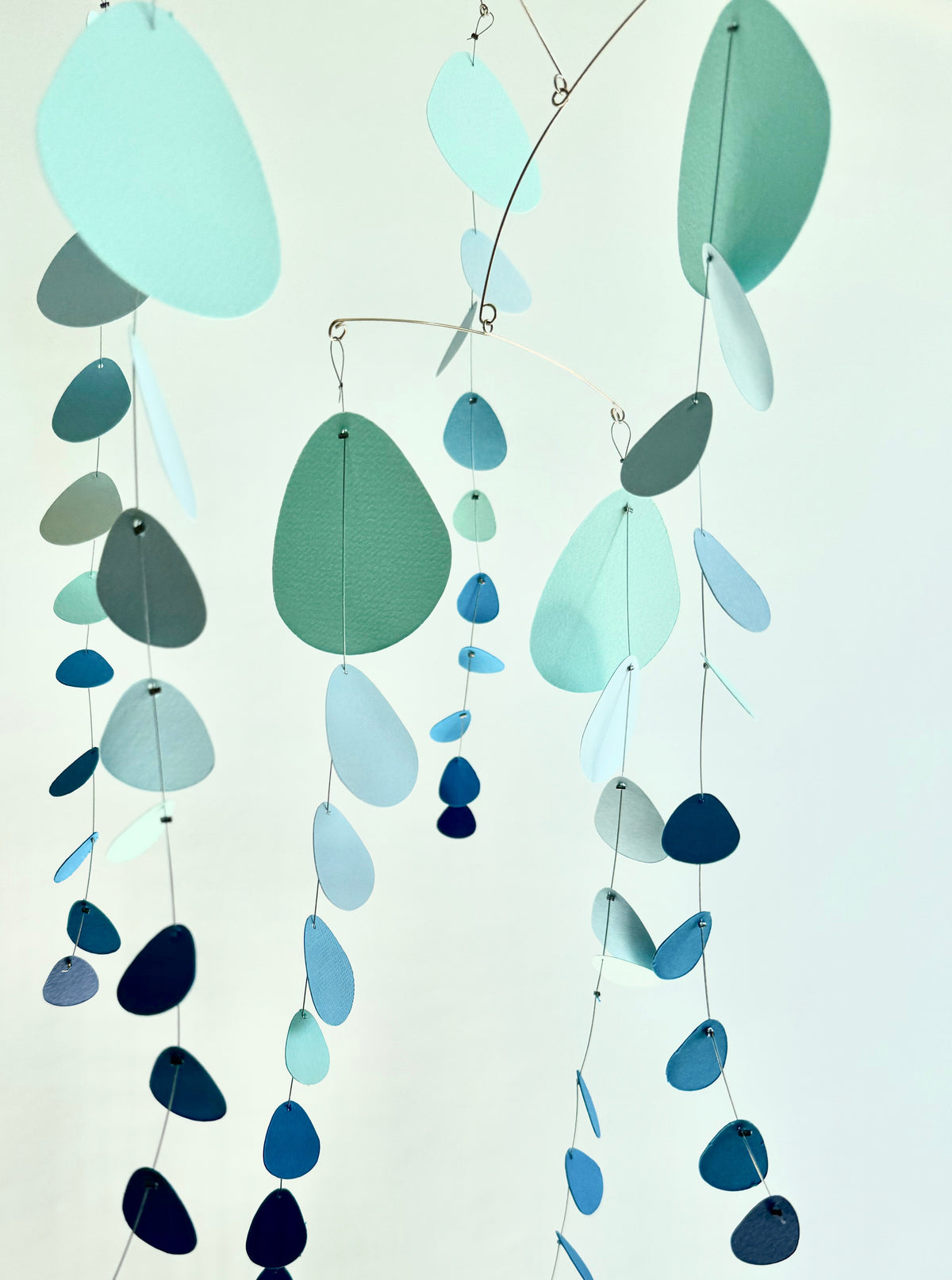 N.49 Eucalyptus Clear Blue
