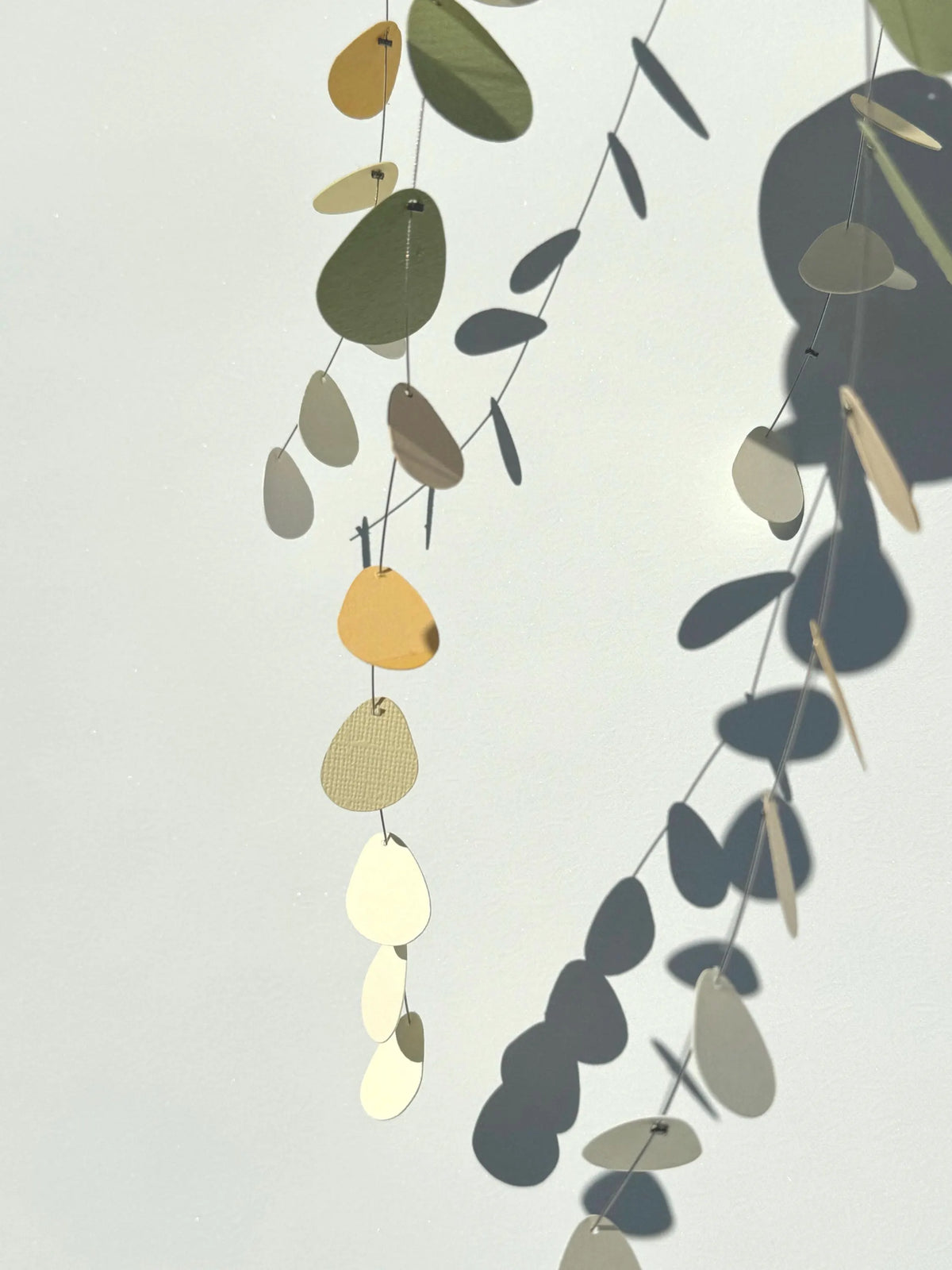 N.48 Eucalyptus Ceam and Yellow Mobile.
