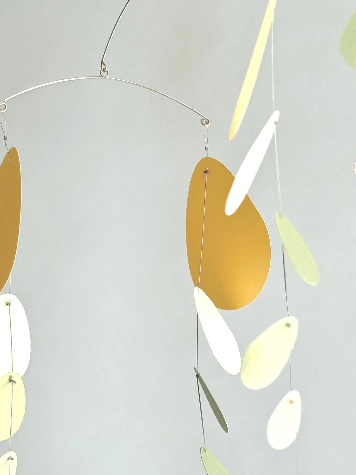 N.48 Eucalyptus Ceam and Yellow Mobile.