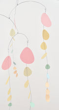 N.18 Rainbow Eucalyptus Kinetic Mobile.